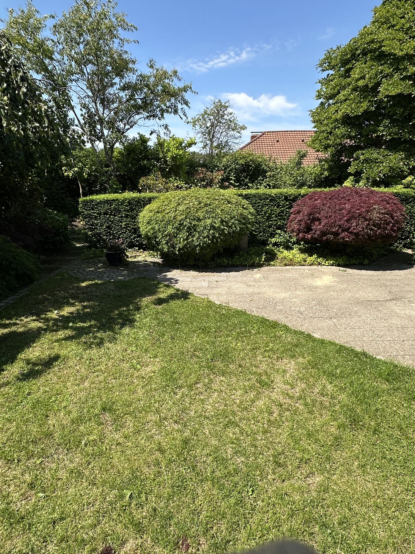 Cosy landscaped garden with shaped hedges and garden path in Esbjerg